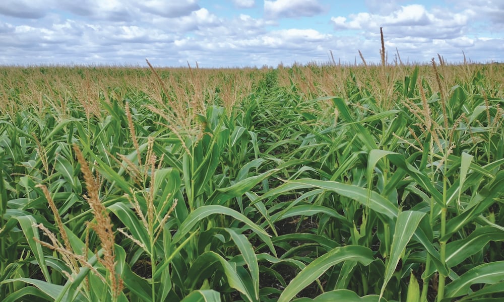 yield farming